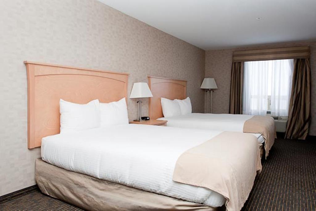 Paradise Inn And Suites Valleyview Стая снимка